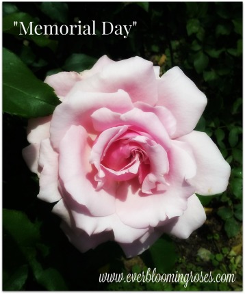 MemorialDay.5.29.16.web